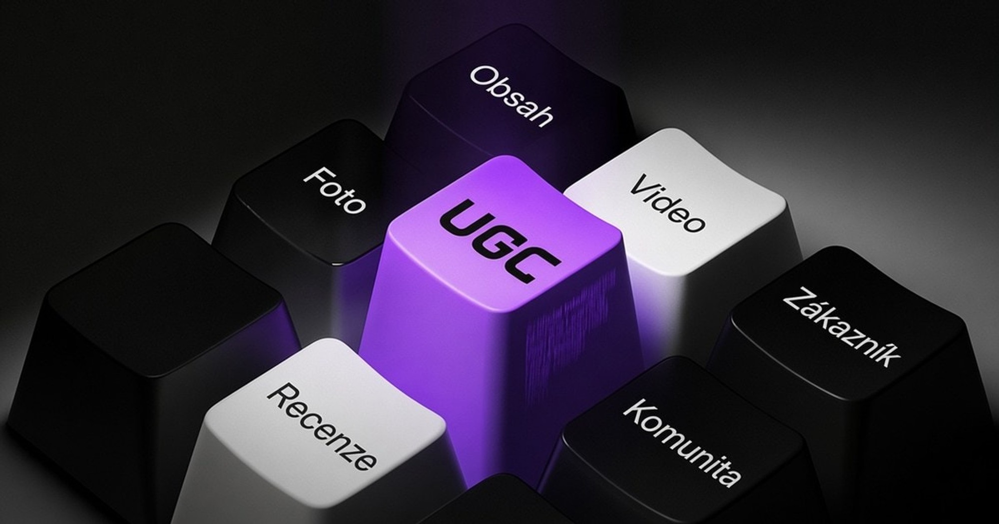 UGC (User-Generated Content)