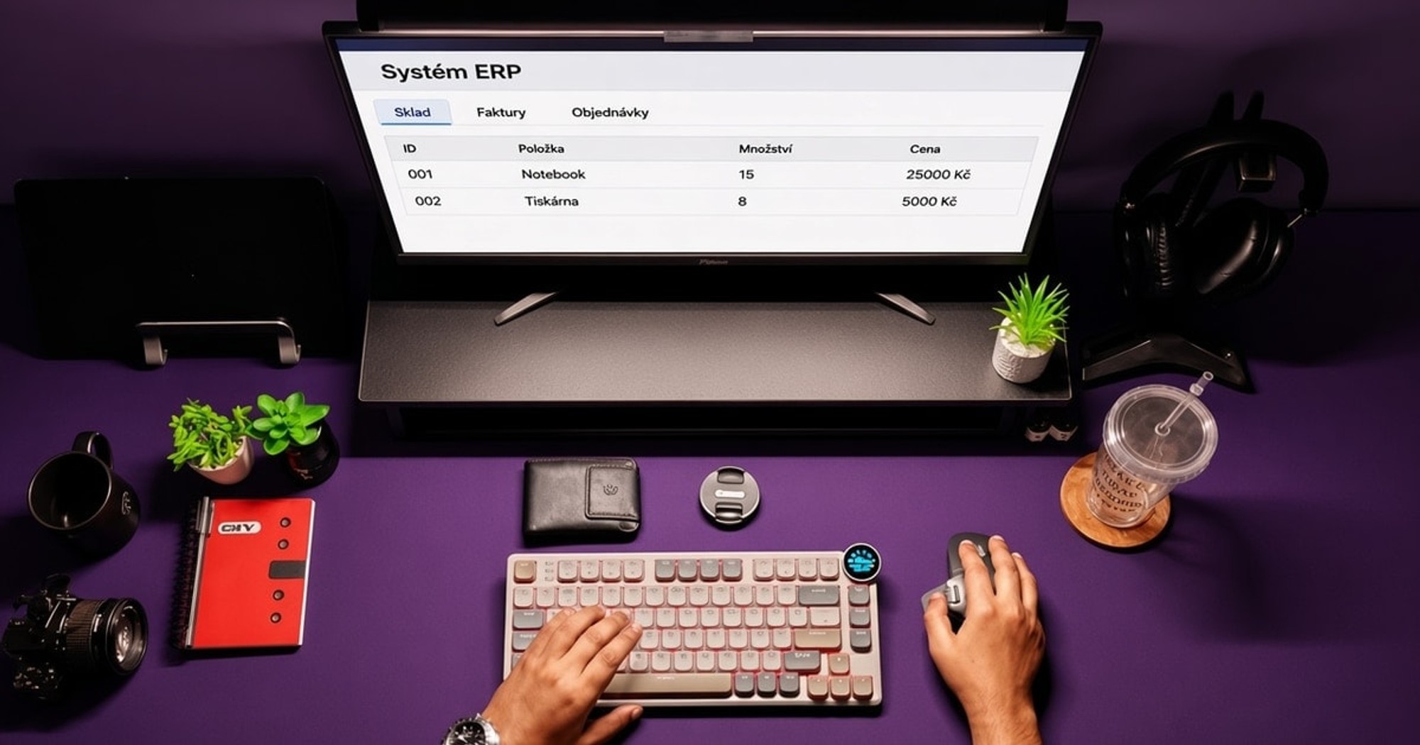 ERP (Enterprise Resource Planning)